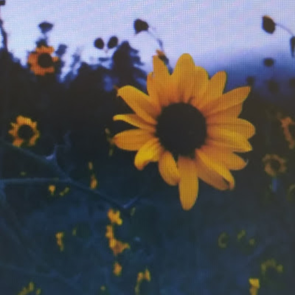 Meet your Posher, Potato roblox